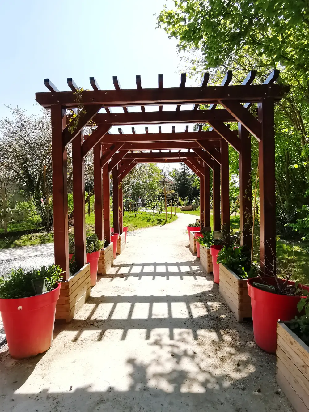 Drewniana pergola z czerwonymi donicami, rzucająca cień na oświetloną słońcem ścieżkę ogrodową otoczoną zielenią. tarasy szczecin